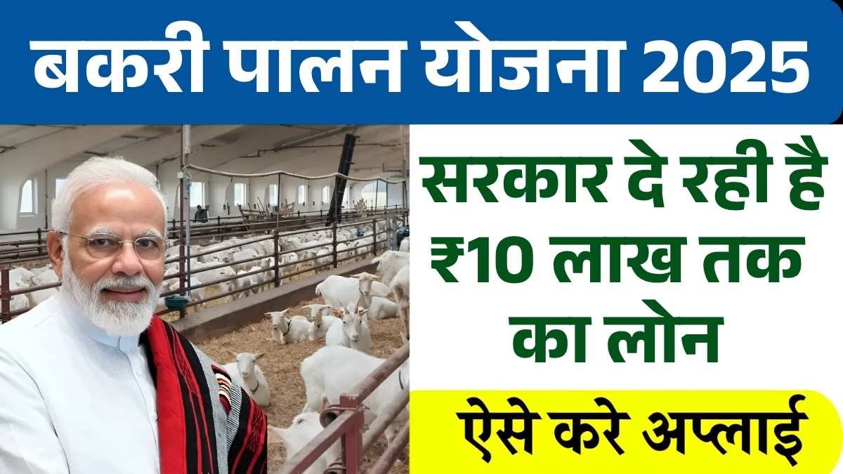 Goat Farming Loan Yojana 2025: बकरी पालन के लिए सरकार दे रही है ₹10 लाख तक का लोन — फायदा और कैसे करें अप्लाई