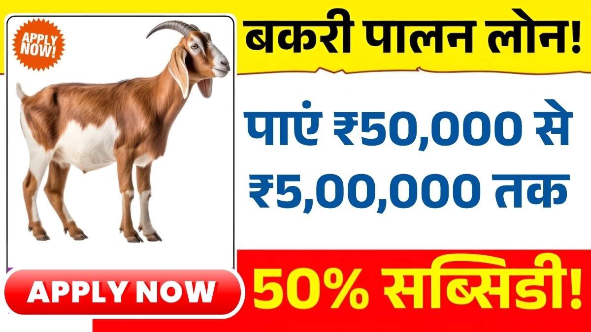 Bakri Palan Loan Yojana 2025: जानें कैसे आवेदन करें और पाएं ₹50,000 से ₹5,00,000 तक का लोन